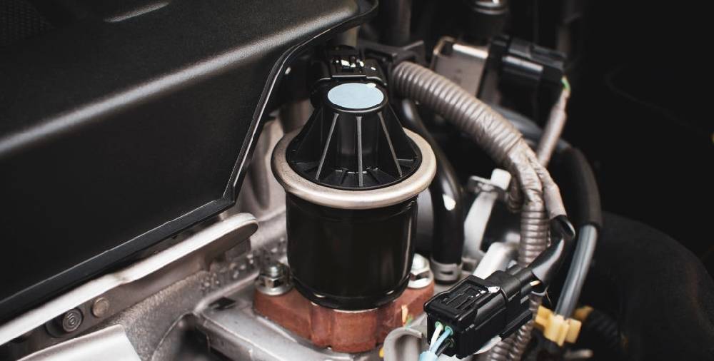 wet timing belt replacement cost